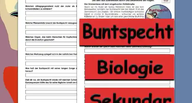 Textverständnis Buntspecht Textverständnis Buntspecht Unterrichtsmaterial - Kostenlos von Legakulie.info