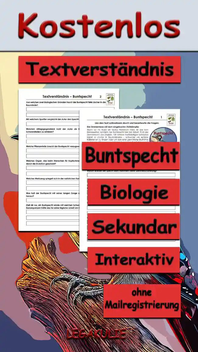 Textverständnis Buntspecht Unterrichtsmaterial - Kostenlos von Legakulie.info
