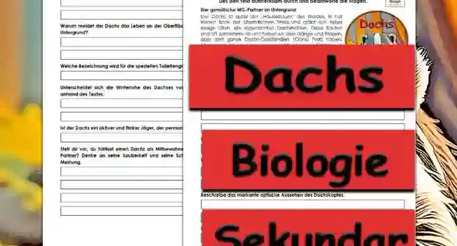 Textverständnis Dachs Textverständnis Dachs Unterrichtsmaterial - Kostenlos von Legakulie.info