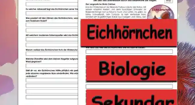 Textverständnis Eichhörnchen Unterrichtsmaterial - Kostenlos von Legakulie.info