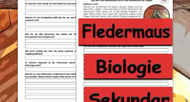 Textverständnis Fledermaus Unterrichtsmaterial - Kostenlos von Legakulie.info