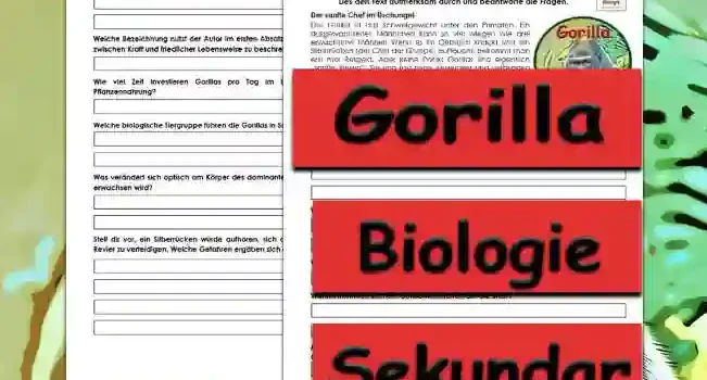 Textverständnis Gorilla Unterrichtsmaterial - Kostenlos von Legakulie.info
