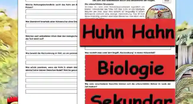 Textverständnis Huhn Hahn Sekundar Unterrichtsmaterial - Kostenlos von Legakulie.info