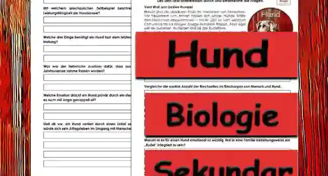 Textverständnis Hund Sekundar Unterrichtsmaterial - Kostenlos von Legakulie.info