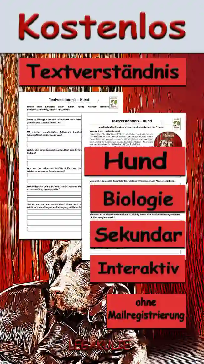 Textverständnis Hund Sekundar Unterrichtsmaterial - Kostenlos von Legakulie.info