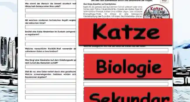 Textverständnis Katze Unterrichtsmaterial - Kostenlos von Legakulie.info
