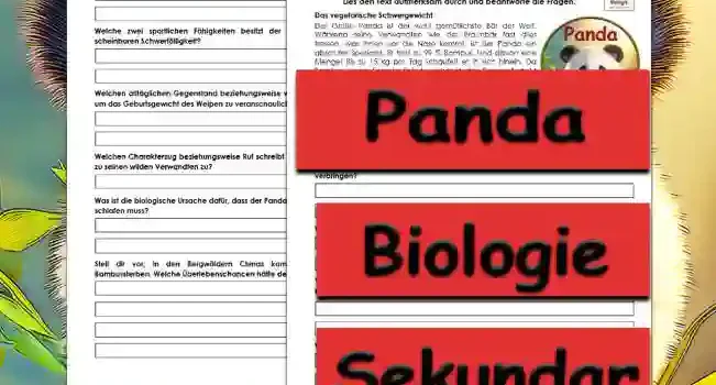 Textverständnis Panda Textverständnis Panda Unterrichtsmaterial - Kostenlos von Legakulie.info