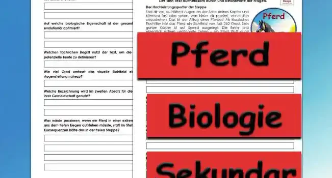 Textverständnis Pferd Textverständnis Pferd Unterrichtsmaterial - Kostenlos von Legakulie.info