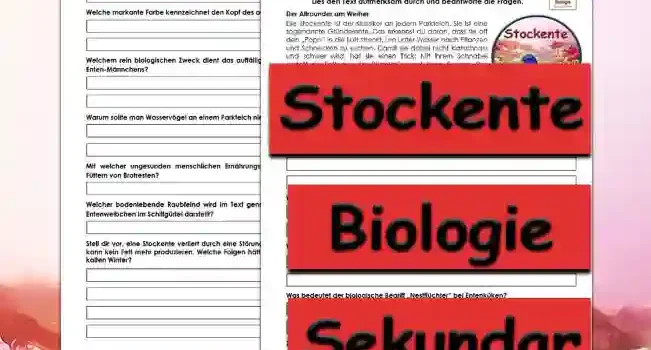 Textverständnis Stockente Unterrichtsmaterial - Kostenlos von Legakulie.info