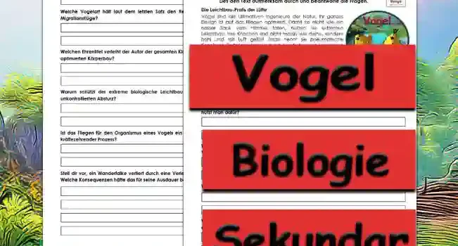 Textverständnis Vogel Unterrichtsmaterial - Kostenlos von Legakulie.info