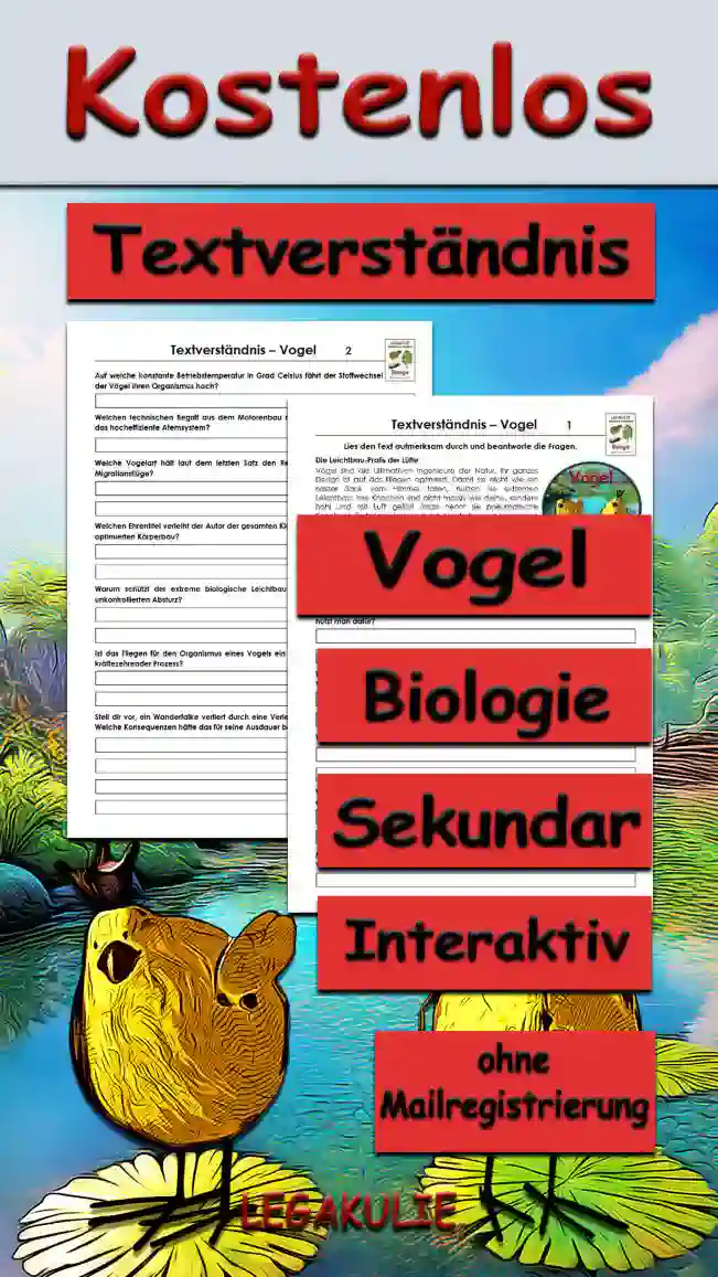 Textverständnis Vogel Unterrichtsmaterial - Kostenlos von Legakulie.info