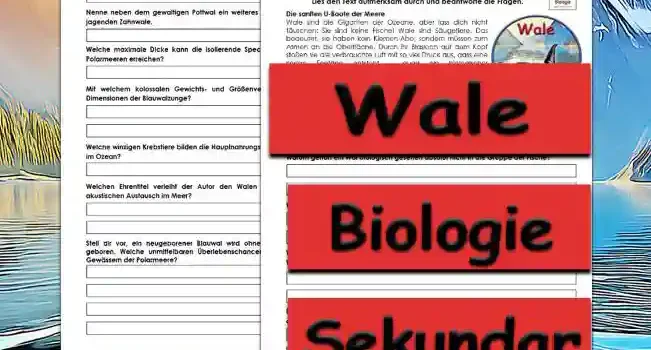 Textverständnis Wale Textverständnis Wale Unterrichtsmaterial - Kostenlos von Legakulie.info