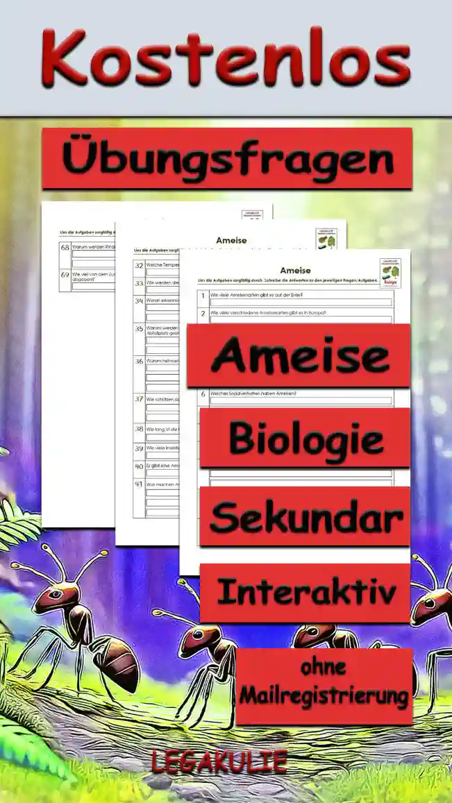 Übungsfragen Ameise Unterrichtsmaterial - Kostenlos von Legakulie.info