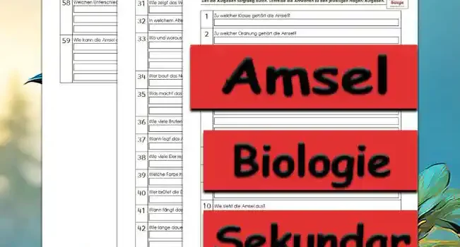 Übungsfragen Amsel Unterrichtsmaterial - Kostenlos von Legakulie.info