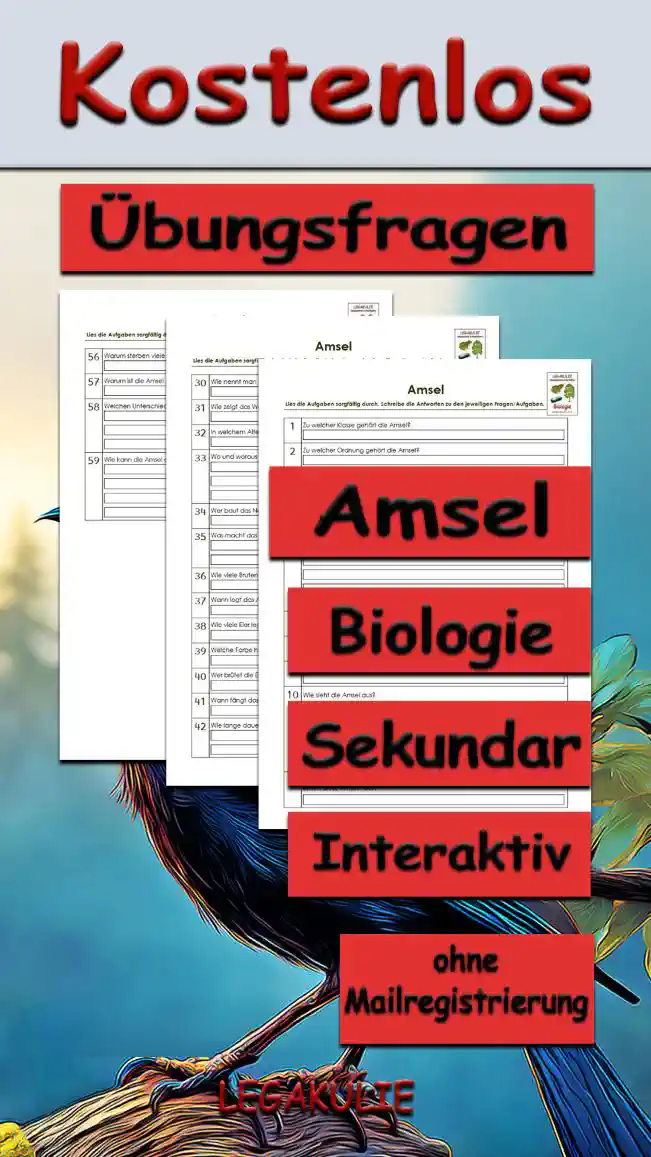 Übungsfragen Amsel Unterrichtsmaterial - Kostenlos von Legakulie.info