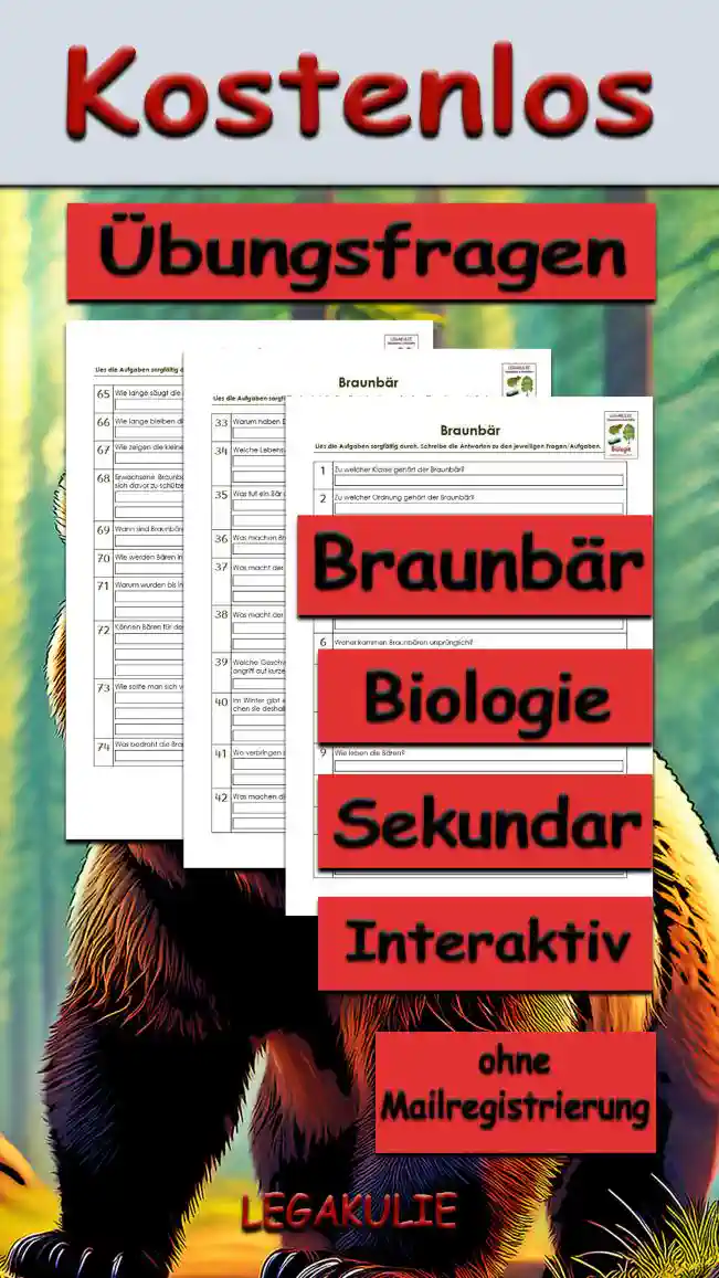 Übungsfragen Braunbär Unterrichtsmaterial - Kostenlos von Legakulie.info