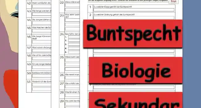 Übungsfragen Buntspecht Unterrichtsmaterial - Kostenlos von Legakulie.info