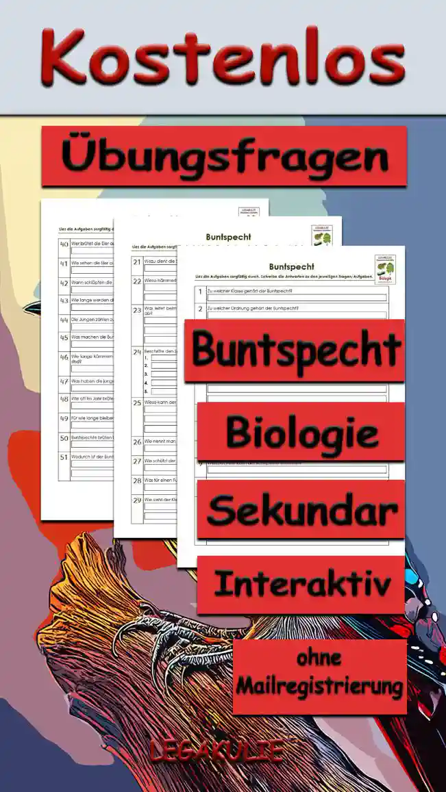 Übungsfragen Buntspecht Unterrichtsmaterial - Kostenlos von Legakulie.info