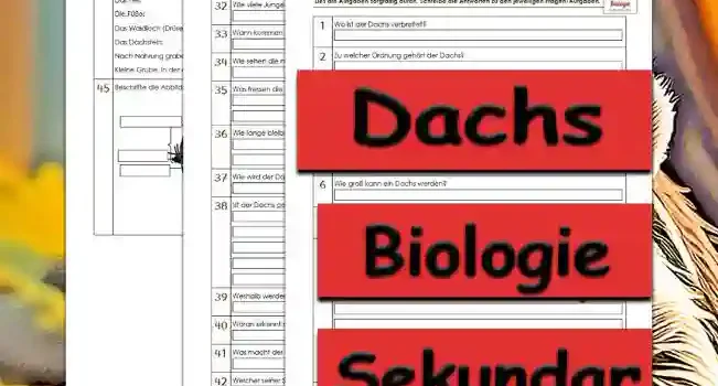 Übungsfragen Dachs Unterrichtsmaterial - Kostenlos von Legakulie.info