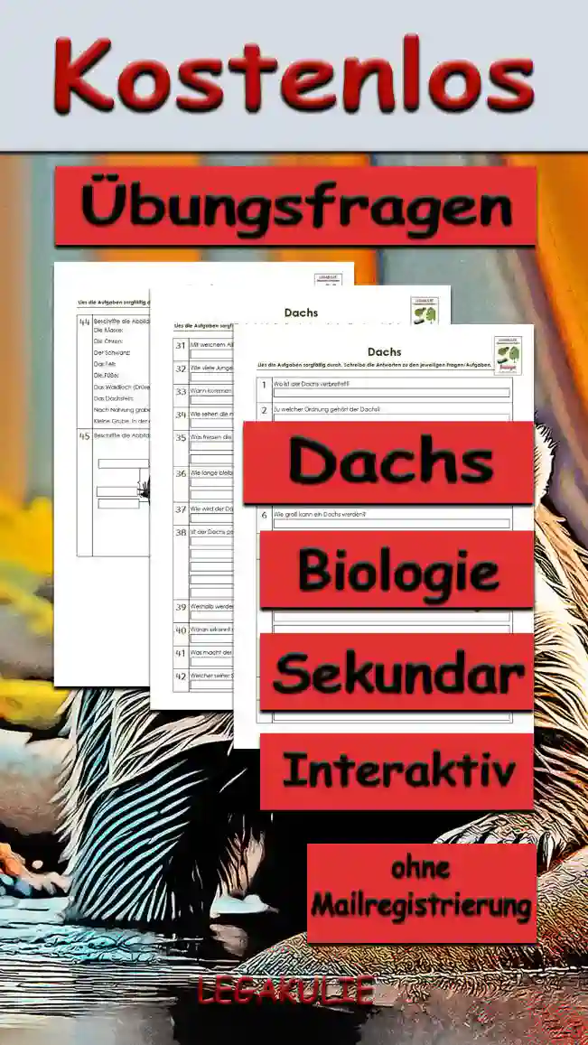 Übungsfragen Dachs Unterrichtsmaterial - Kostenlos von Legakulie.info