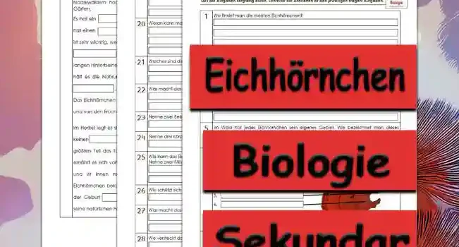 Übungsfragen Eichhörnchen Unterrichtsmaterial - Kostenlos von Legakulie.info