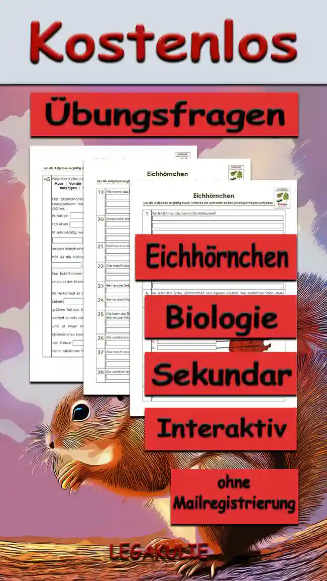 Übungsfragen Eichhörnchen Unterrichtsmaterial - Kostenlos von Legakulie.info