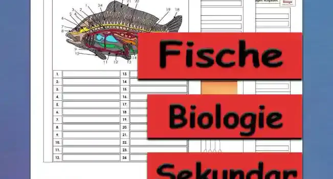 Übungsfragen Fische Unterrichtsmaterial - Kostenlos von Legakulie.info