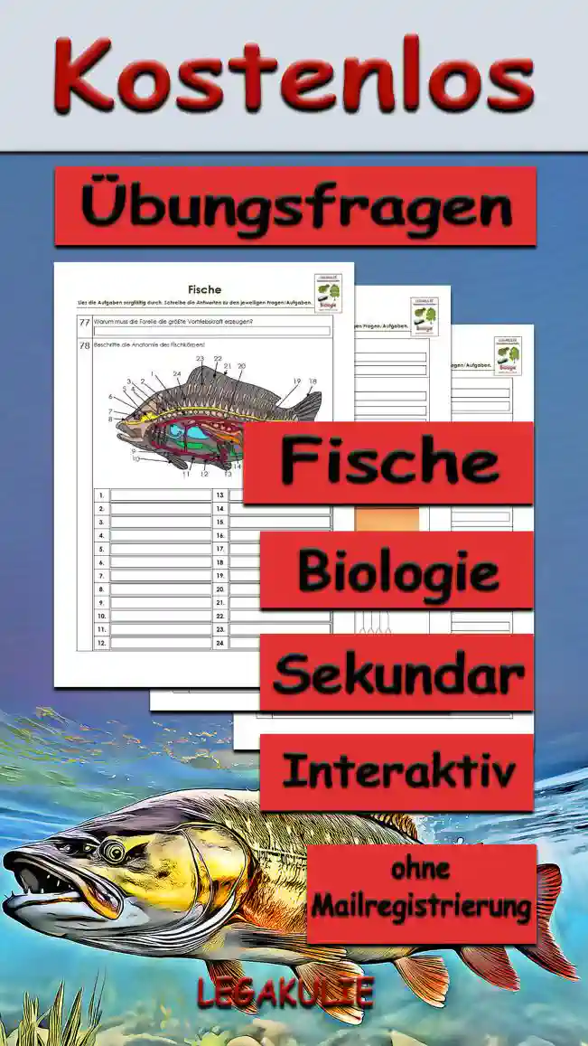 Übungsfragen Fische Unterrichtsmaterial - Kostenlos von Legakulie.info