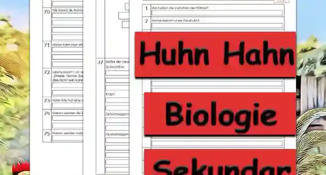 Übungsfragen Huhn Hahn Unterrichtsmaterial - Kostenlos von Legakulie.info