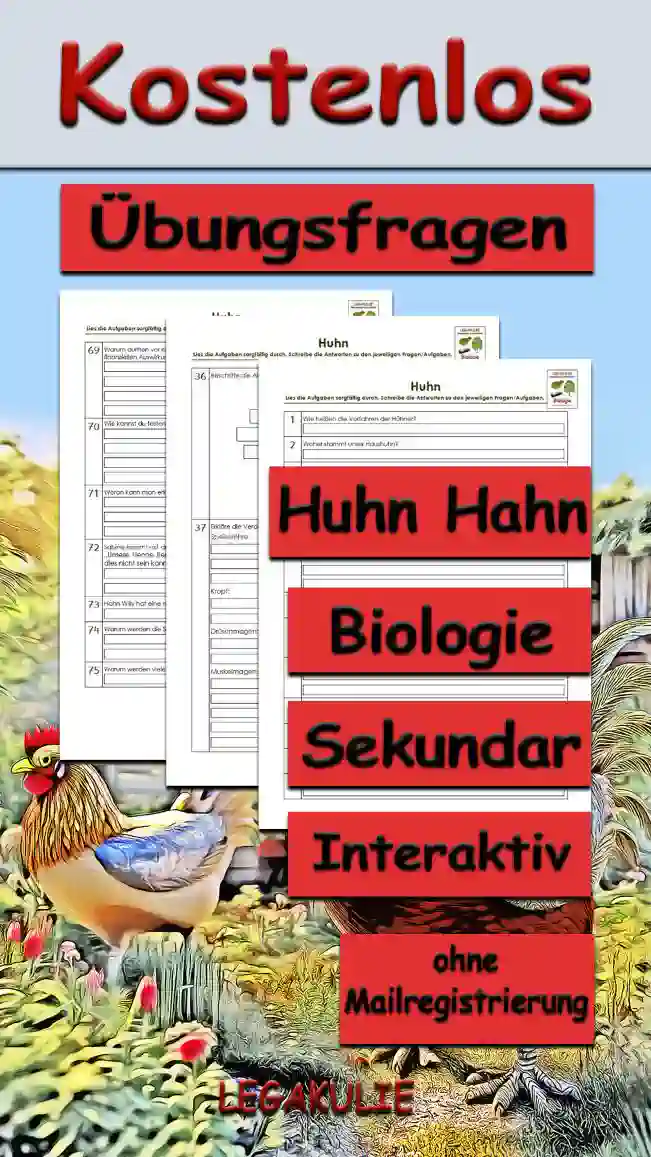 Übungsfragen Huhn Hahn Unterrichtsmaterial - Kostenlos von Legakulie.info