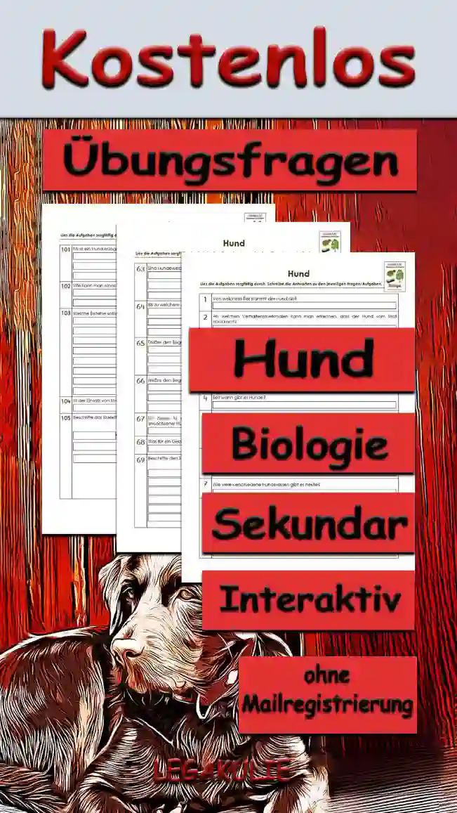 Übungsfragen Hund Sekundar Unterrichtsmaterial - Kostenlos von Legakulie.info