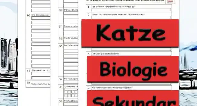 Übungsfragen Katze Unterrichtsmaterial - Kostenlos von Legakulie.info
