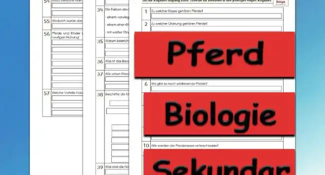 Übungsfragen Pferd Unterrichtsmaterial - Kostenlos von Legakulie.info