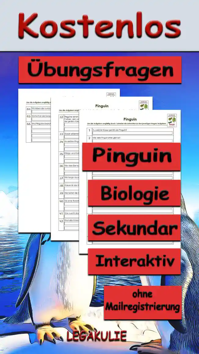 Übungsfragen Pinguin Unterrichtsmaterial - Kostenlos von Legakulie.info
