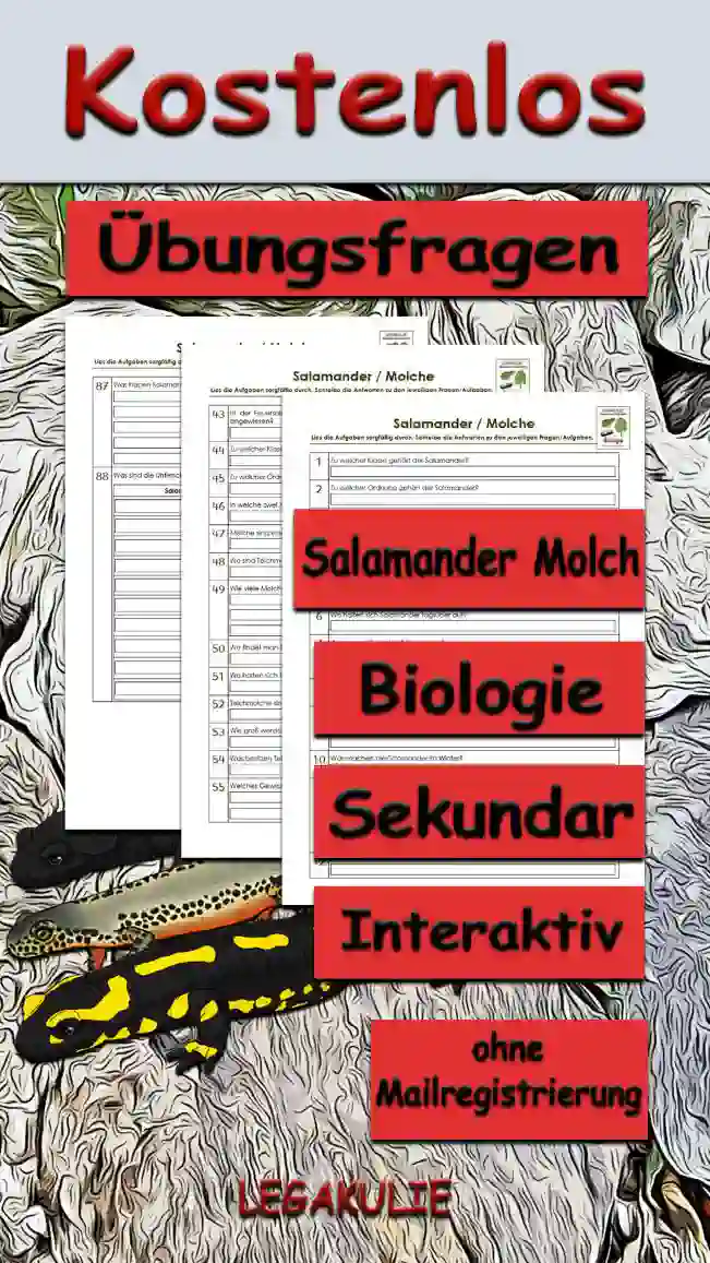 Übungsfragen Salamander Molch Sekundar Unterrichtsmaterial - Kostenlos von Legakulie.info