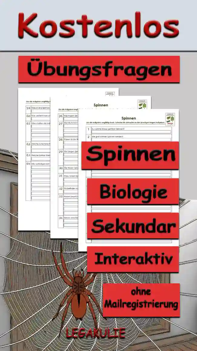 Übungsfragen Spinnen Unterrichtsmaterial - Kostenlos von Legakulie.info
