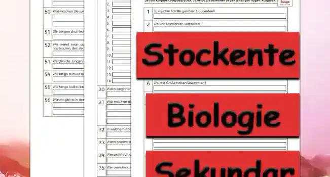 Übungsfragen Stockente Unterrichtsmaterial - Kostenlos von Legakulie.info