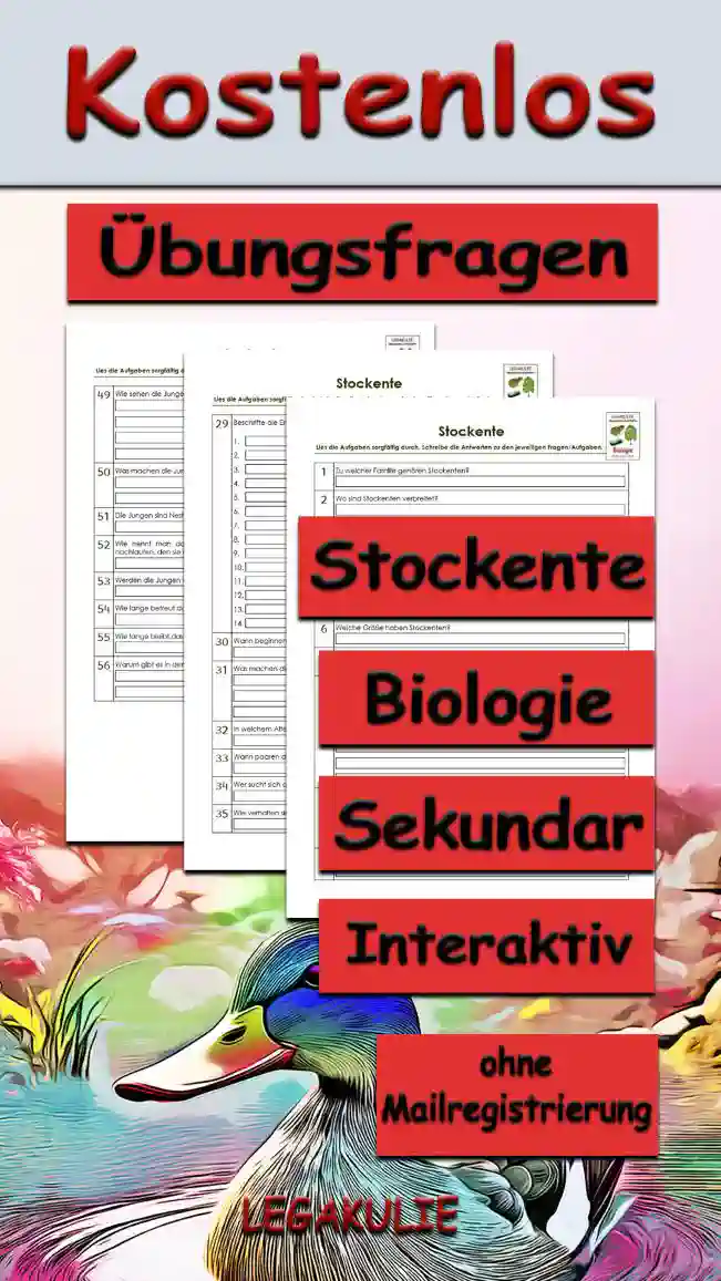 Übungsfragen Stockente Unterrichtsmaterial - Kostenlos von Legakulie.info