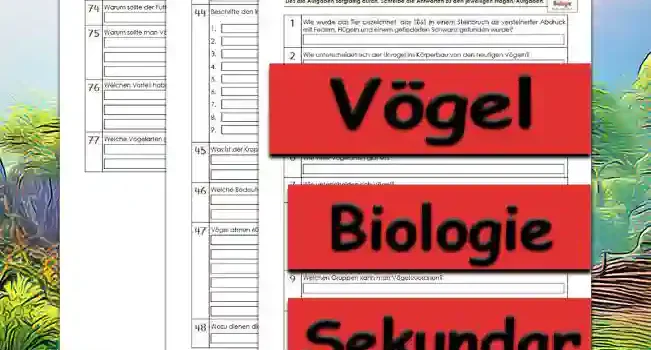 Übungsfragen Vögel Unterrichtsmaterial - Kostenlos von Legakulie.info