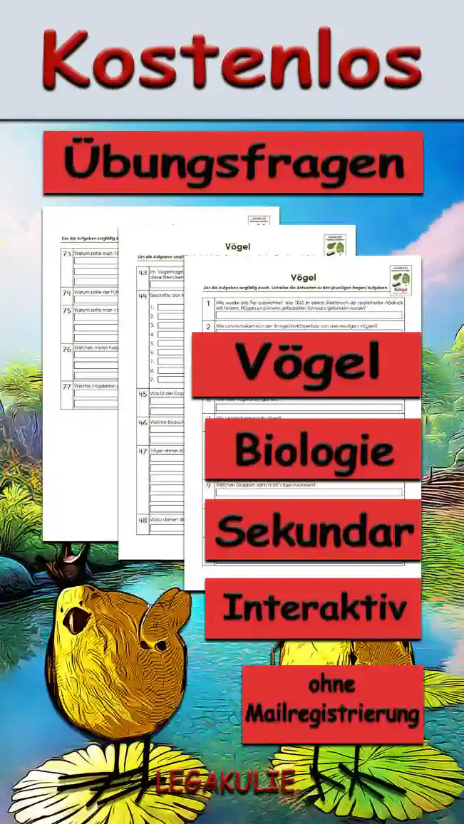 Übungsfragen Vögel Unterrichtsmaterial - Kostenlos von Legakulie.info