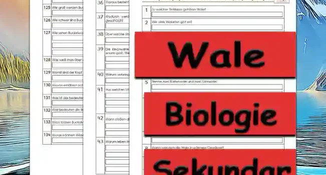 Übungsfragen Wale Übungsfragen Wale Unterrichtsmaterial - Kostenlos von Legakulie.info